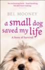 Image for A small dog saved my life  : a story of survival