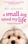 Image for Small dogs can save your life: a story of survival
