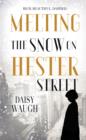 Image for Melting the Snow on Hester Street