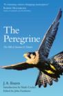 Image for The peregrine: The hill of summer ; &amp;, Diaries : the complete works of J.A. Baker