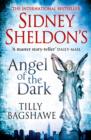 Image for Sidney Sheldon&#39;s Angel of the Dark