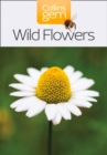 Image for Wild flowers.