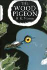 Image for The Wood Pigeon