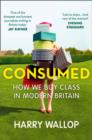 Image for Consumed: how shopping fed the class system