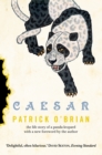 Image for Caesar: the life story of a panda leopard