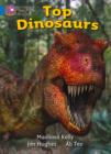 Image for Top Dinosaurs Workbook