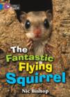 Image for The Fantastic Flying Squirrel Workbook