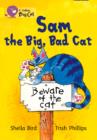 Image for Sam The Big, Bad Cat Workbook