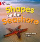 Image for Shapes on the Seashore Workbook