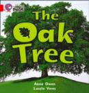 Image for The Oak Tree Workbook