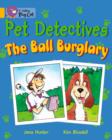 Image for The Pet Detectives: The Ball Burglary Workbook