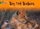 Image for Big Cat Babies Workbook