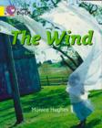 Image for The Wind