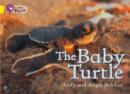 Image for The Baby Turtle