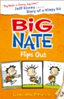 Image for Big Nate flips out