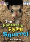 Image for The Fantastic Flying Squirrel: Band 04/Blue