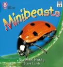 Image for Minibeasts: Band 01a/Pink A
