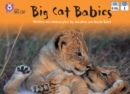 Image for Big Cat Babies: Band 05/Green
