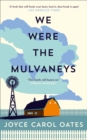 Image for We were the Mulvaneys: a novel
