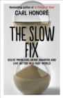 Image for The Slow Fix