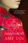 Image for The valley of amazement
