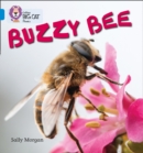 Image for Buzzy Bees : Band 04/Blue