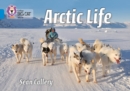 Image for Arctic life