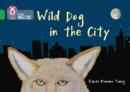 Wild dog in the city - Romano Young, Karen