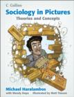 Image for Sociology in pictures: Theories and concepts