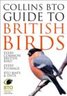 Image for Collins BTO Guide to British Birds