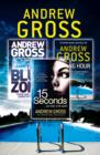 Image for Andrew Gross 3-book thriller collection.