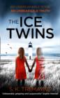 Image for The ice twins