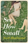 Image for See how small: a novel