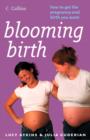 Image for Blooming birth: how to get the pregnancy and birth you want