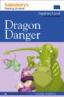 Image for Dragon Danger