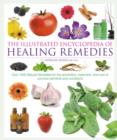 Image for Illustrated Encyclopedia â€“ Healing Remedies