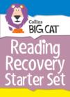 Image for Reading Recovery Starter Set