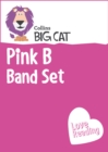 Image for Pink B band set