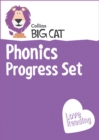 Image for Phonics progress starter setBand 01A pink-band 04 blue