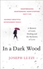 Image for In a dark wood: what Dante taught me about grief, healing, and the mysteries of love