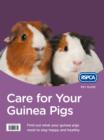 Image for Care for your guinea pig.
