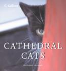 Image for Cathedral cats