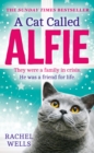 Image for A cat called Alfie