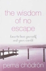 Image for The Wisdom of No Escape : How to Love Yourself and Your World