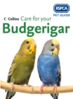 Image for Care for your budgerigar