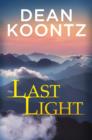 Image for Last light: a novella