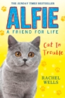 Image for Alfie Cat in trouble
