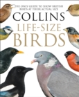 Image for Collins life-size birds  : the only guide to show British birds at their actual size