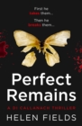 Image for Perfect remains