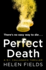 Image for Perfect death : [bk. 3]